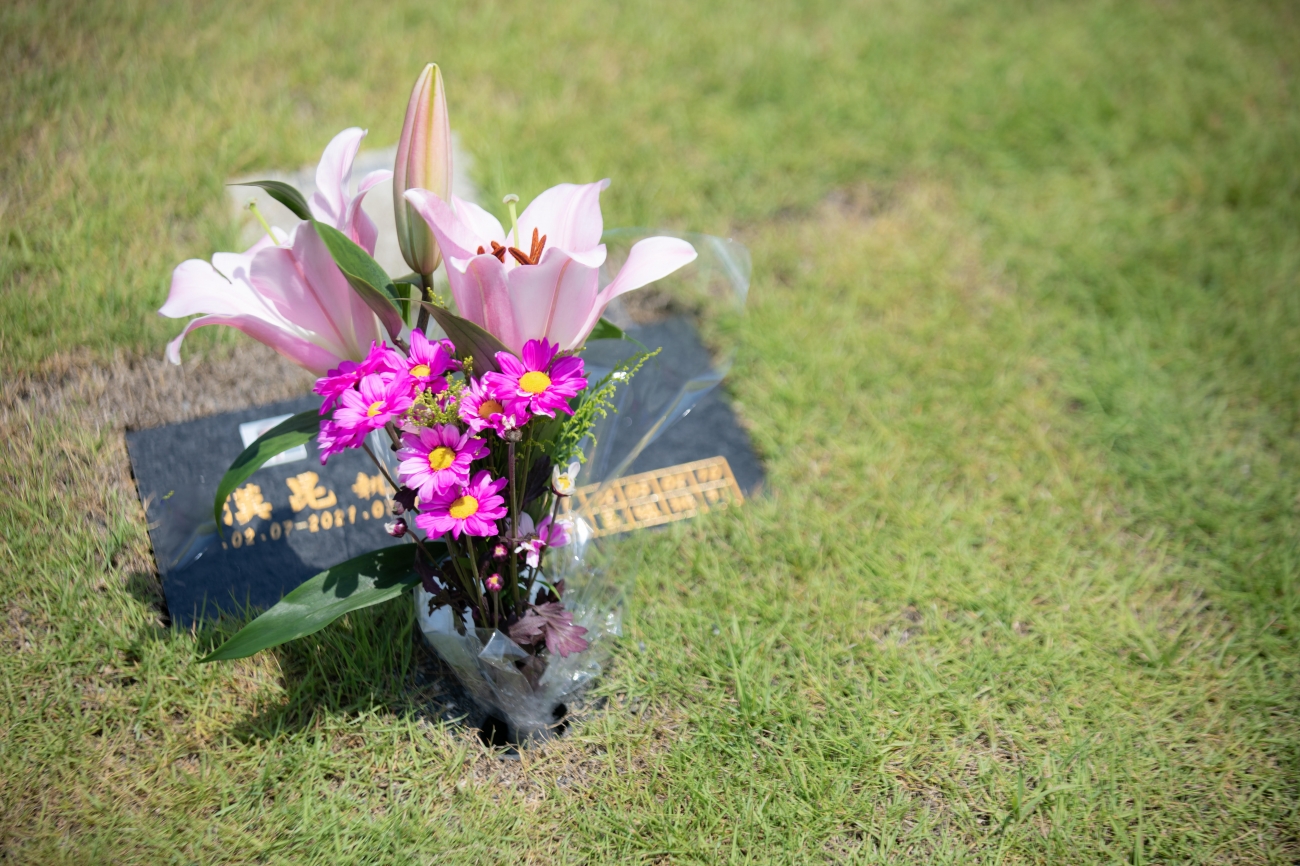 摯愛的草園。天堂的住家。